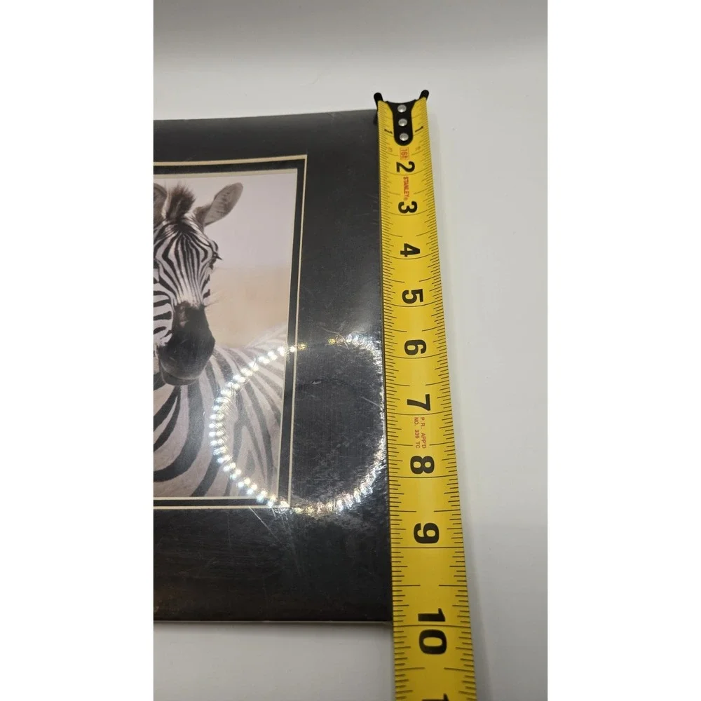 Chicago Vintage 1984 Zebra Safari Photography Sealed Striped Elegance Africa Art - Picture 10 of 11